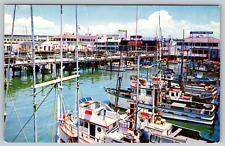 c1910s Fisherman's Wharf San Francisco California Vintage Postcard picture