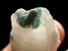 BLUE INDICOLITE Tourmaline Crystals on a Quartz Crystal Brazil 25.7gr picture