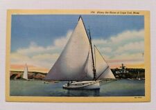 Postcard Cape Cod, Massachusetts, Sailboat Along  Shore Vintage Linen -See Note  picture