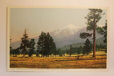 Postcard San Francisco Mountains Near Flagstaff AZ picture