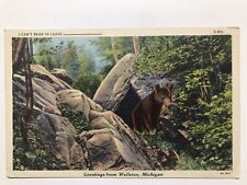 1940 Greetings From Wellston Michigan Postcard picture