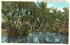 Postcard FL Florida Cocoanut Grove in Tropical Florida WB Vintage PC f696 picture