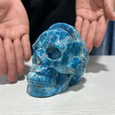 2.8LB4.1'' Natural Blue Apatite Music Headset Skull Quartz Statue Crystal Decor picture