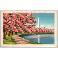 Postcard Washington D.C. Washington Monument Cherry Blossom Time 11360 picture