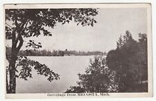 Greetings from Mecosta Michigan MI 1927 picture