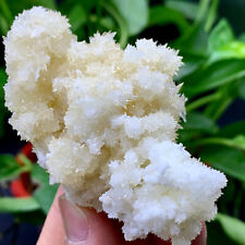 99g Museum Quality White Flowery Hydrozincite Crystal Cluster Mineral Specimen picture
