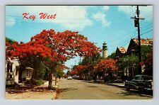 Key West FL-Florida, Royal Poinciana Trees, Lighthouse Souvenir Vintage Postcard picture