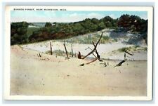1912 Sunken Forest Near Muskegon Michigan MI Antique Postcard picture