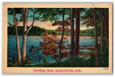 c1940's Greetings From Bald Knob Lake River Trees Groves Arkansas AR Postcard picture