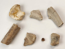 Assorted Small Fossil Mammal Bones - White River - Brule Fm. - NE - Bulk Lot picture