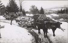 Logging Scene with Oxen Newfane Hill Vermont RPPC Photo Postcard picture