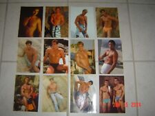 Hot Bods Postcards, Lot of 12 Sexy Men Swimsuit Models - Beach  Scenes & Rock picture