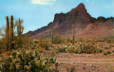 Picacho Peak Between Phoenix & Tucson Arizona Vintage Unposted Postcard picture