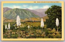 Yucca Soutern California Mountains Flower Fields Cal Linen Vintage UNP Postcard picture
