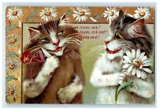 c1910's Boulanger Two Cats Tail Holding Flower Tuck's Posted Antique Postcard picture