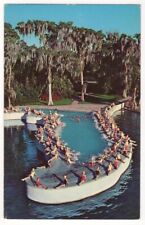 Cypress Gardens Florida c1950's Esther Williams Swimming Pool, Bathing Beauties picture