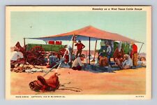 TX-Texas, Noonday On A West Texas Cattle Range, Antique, Vintage Postcard picture