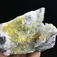 310g Natural Extremely Transparent Chrysanthemum Crystal Cluster Mineral  picture