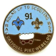 1991 National Pike Webelos Roundup Baltimore Area Council Pin BSA MD picture