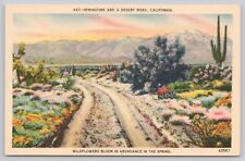 Desert Road Springtime Wildflowers Scenic View in California, Vintage Postcard picture