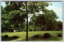 Upsala College Campus East Orange New Jersey NJ Courtyard Vintage Postcard picture
