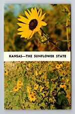 KS-Kansas, State Flower Sunflowers, General Greeting, Vintage Souvenir Postcard picture