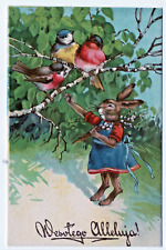 Easter Vintage Postcard Fantasy Dressed Female Bunny Rabbit Greets Birds Polish picture