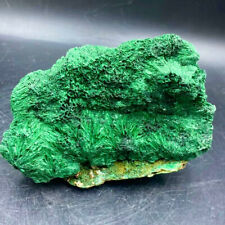 1.64LB Natural glossy Malachite transparent cluster rough mineral sample picture
