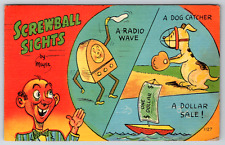 1950s Maine Portland Screwball Sights Postcard Freeport Vintage Postcard picture