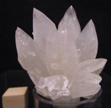 * Cactus Like Dogtooth Spike Cave Calcite Stalactite Wenshan Yunnan Prov China picture