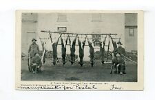 Washburn ME 1906 postcard, three day hunting trip, 4 men, deer, guns picture