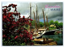 Postcard Springtime in Camden, Maine ME boats harbor fishing MS982 picture