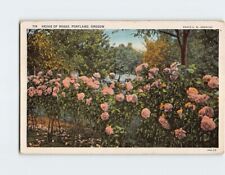 Postcard Hedge Of Roses, Portland, Oregon picture