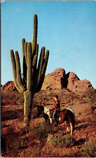 Postcard Posted  Giant Saguaro  Cactus Sentinel Of The Desert   Arizona   [dm] picture
