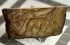 Biggs Picture Jasper polished, old stock slab picture