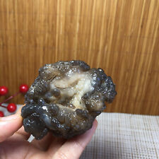 75g Bonsai Suiseki-Natural Gobi Agate Eyes Stone-Rare Stunning Viewing A1126 picture