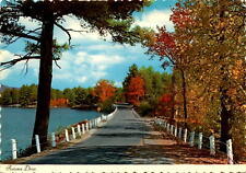 Dexter Press, Inc., West Nyack, New York, DT-97223-B, autumn Postcard picture