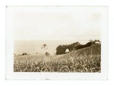 Onomea Gulch Hilo Hawaii Vintage Old Small Photos Photographs c1940s picture