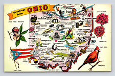 c1962 Pictorial Map State Flag Bird Flower Greetings from Ohio OH Postcard picture