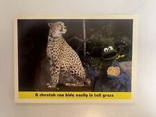 Vintage Sesame Street Trading Card #88: A cheetah / COOKIE MONSTER CTW 1992 picture