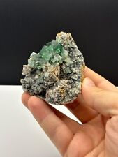 Mini Gem Pocket Fluorite, Lady Annabella Mine, MG001 picture