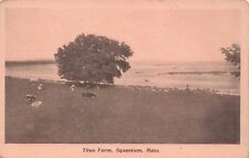 Squantum North Quincy Massachusetts Titus Farm with Cows Vintage Postcard picture