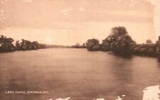 Vintage Postcard Lake Como Swim Fish Paddle Boat Smyrna Delaware Collotype Co. picture