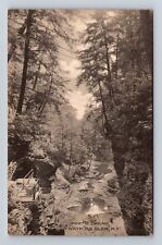 Watkins Glen NY-New York, Scenic Country View, Antique Vintage Souvenir Postcard picture