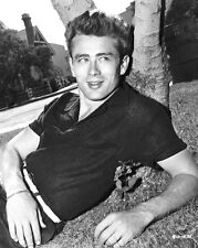 1955 Actor JAMES DEAN Glossy 8x10 Photo Celebrity Print Hollywood Poster picture