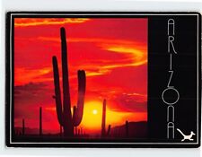 Postcard Fiery Arizona Sunset, USA picture