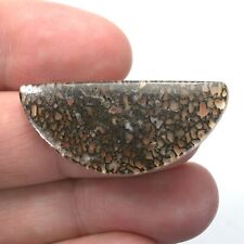 DVH Gem Dinosaur Bone Biopsy Mother of Pearl Doublet Cabochon 41x18x4mm (5425) picture