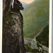 c1920s Lake Lure, NC Devil's Head Near Chimney Rock Litho Postcard Pelton A262 picture