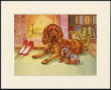 COCKER SPANIEL YORKSHIRE TERRIER BY FIRE LOVELY DOG PRINT MOUNTED READY TO FRAME picture