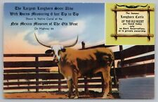 Moriarty New Mexico~Museum of the Old West~Texas Longhorn~Route 66~1950s picture